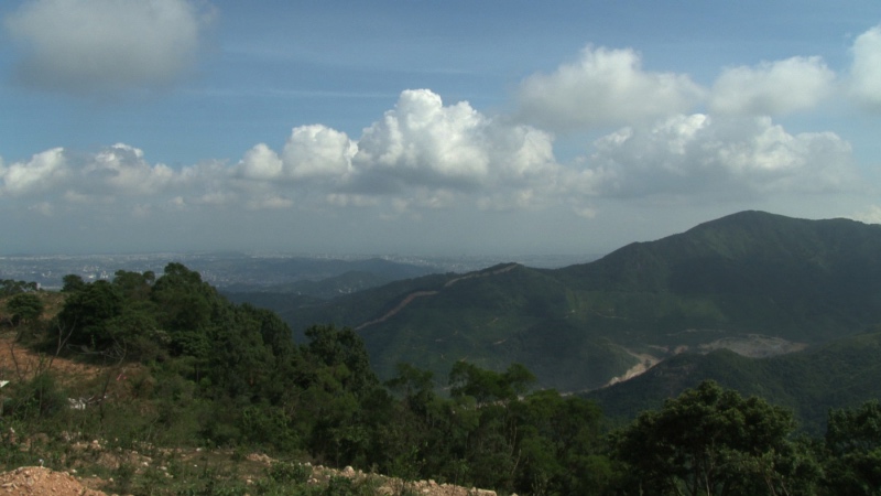 直线，风景 